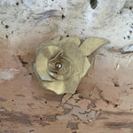 ‘Rosa Dolce’